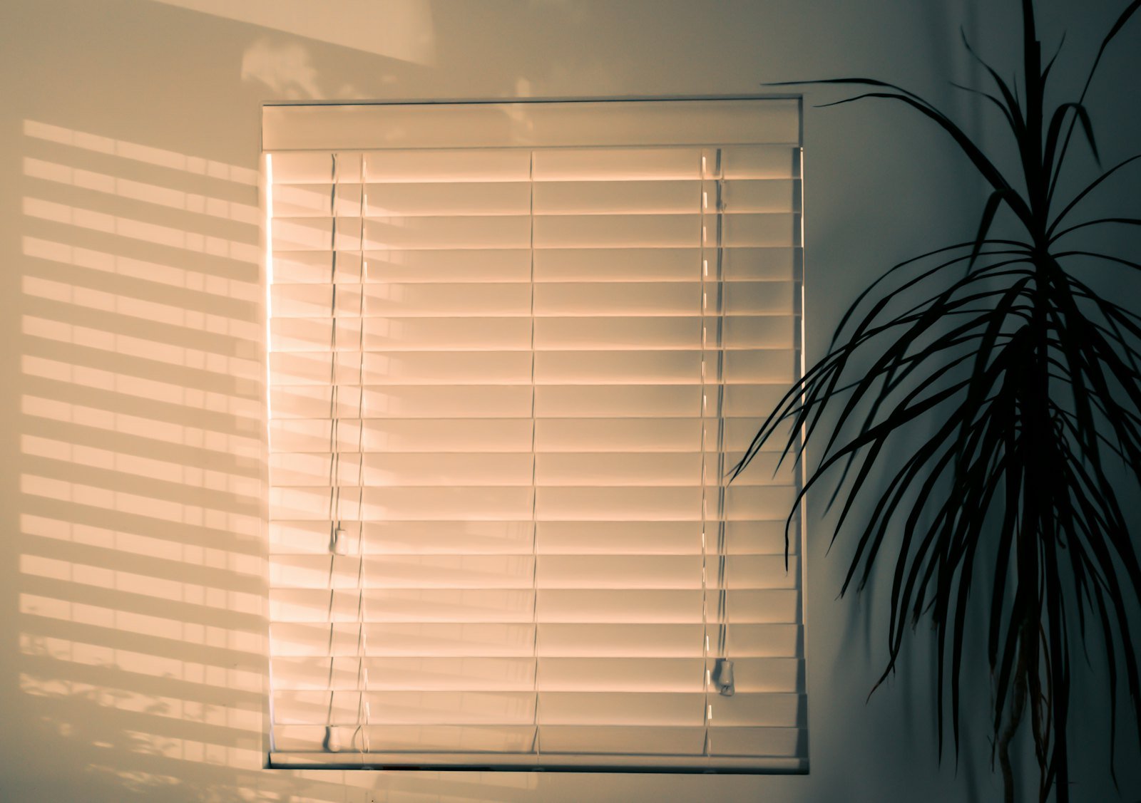 Close view of warm light on horizontal blinds